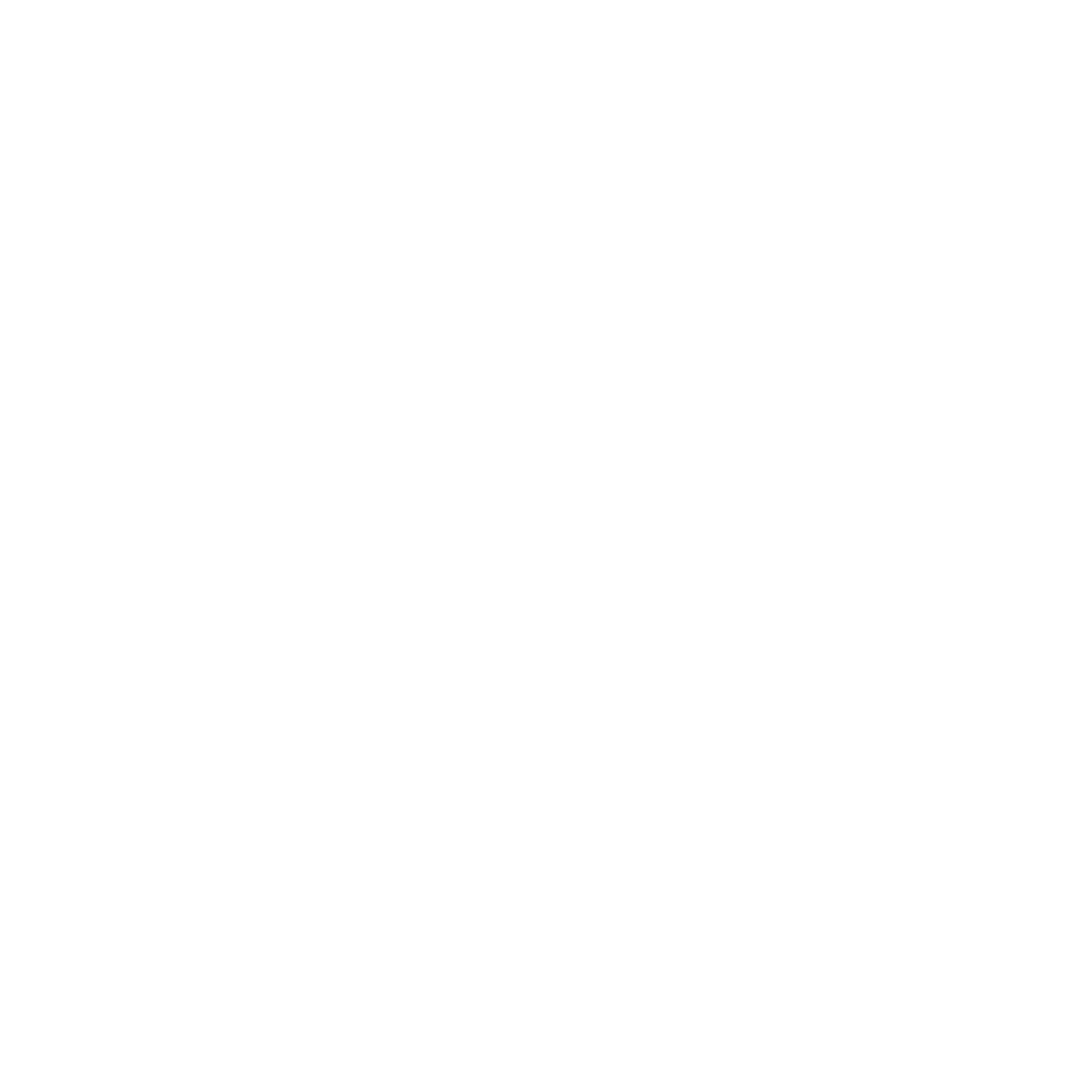 Nürnberg Ring Logo
