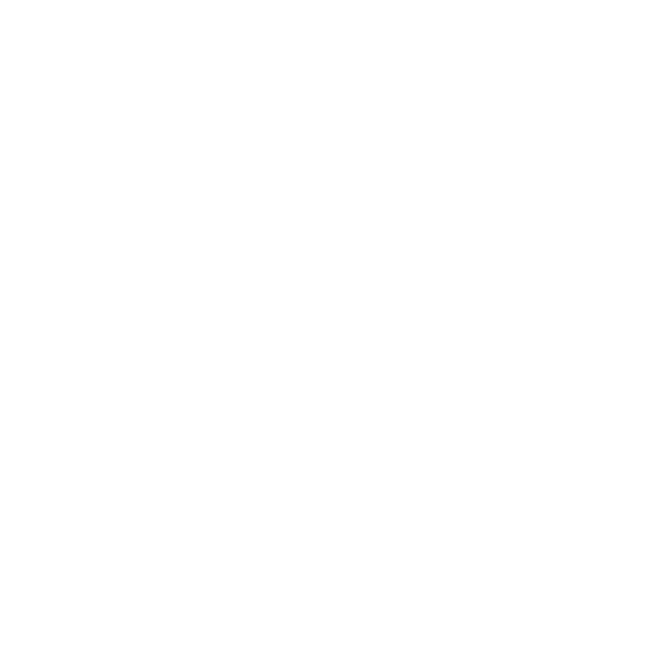 Paravan Logo