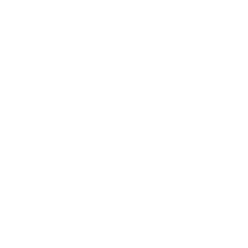Porsche Logo