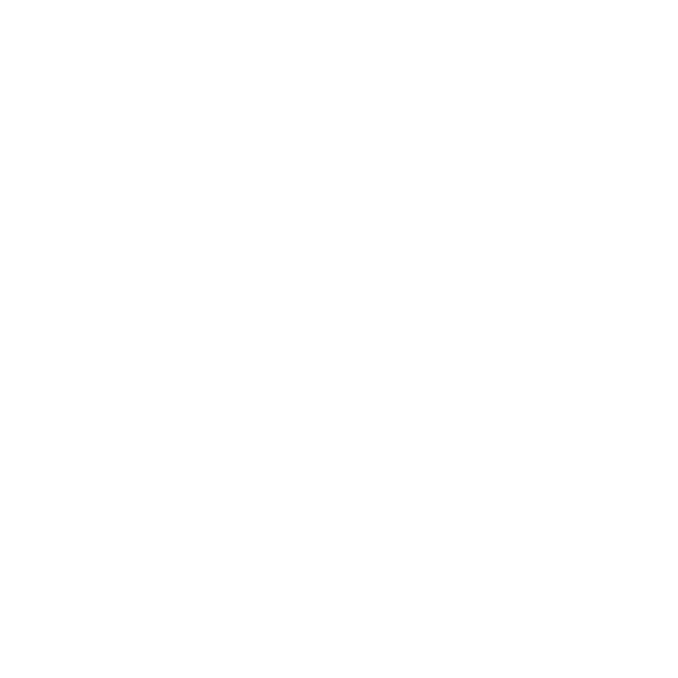 Race Chip Logo
