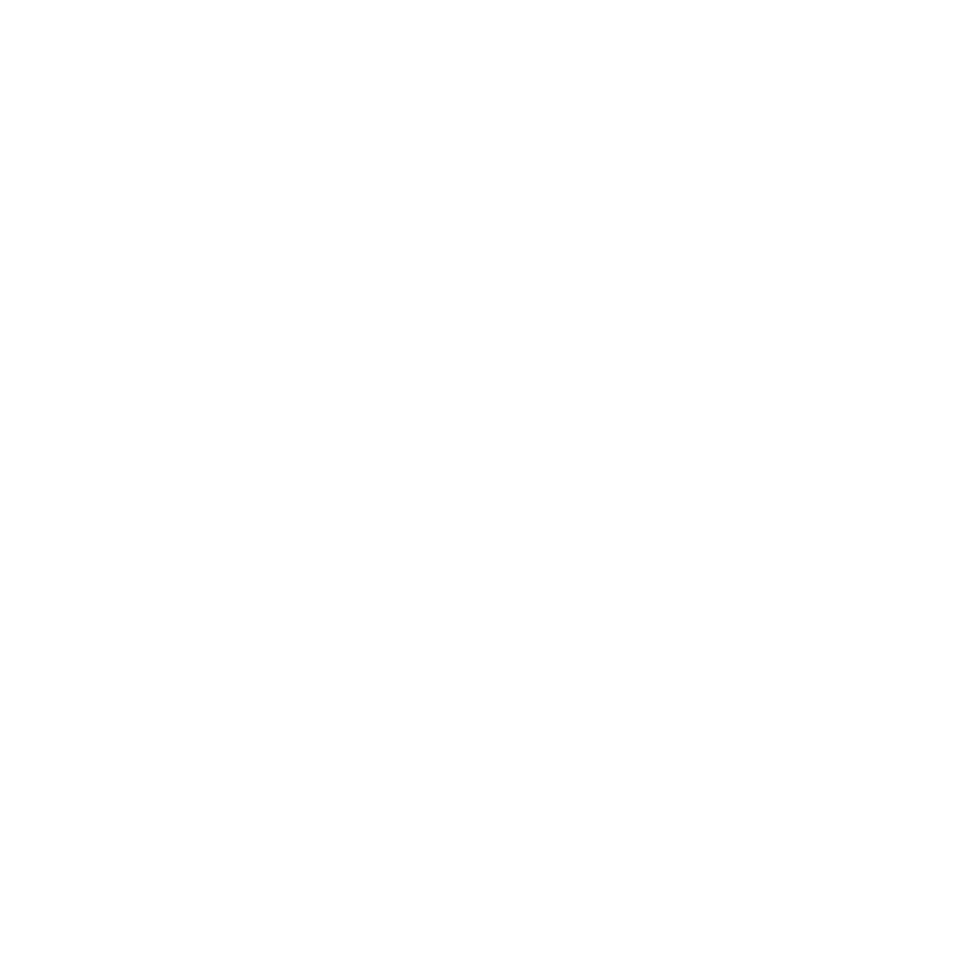 Stiefel Logo